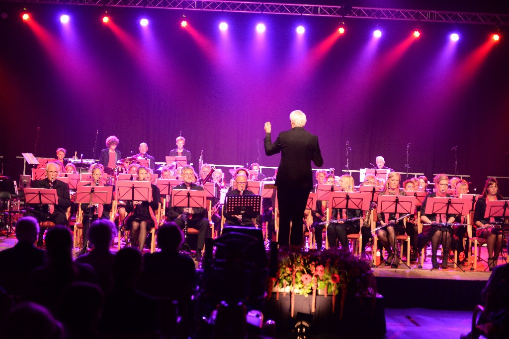 ../Images/Jubileumconcert 100 jaar Harpe Davids 085.jpg